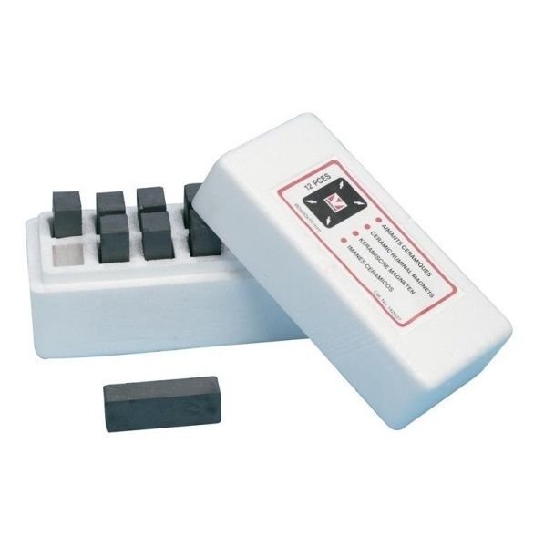 Kruuse Rumen Mıknatısı 60x20x15 mm Muhafazasız