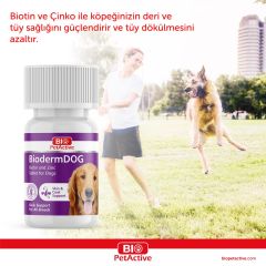 Bio PetActive Biodermdog 0,5 75 Tablet (Köpekler İçi̇n Çinko Ve Bi̇oti̇n Tablet) 37,5 Gr