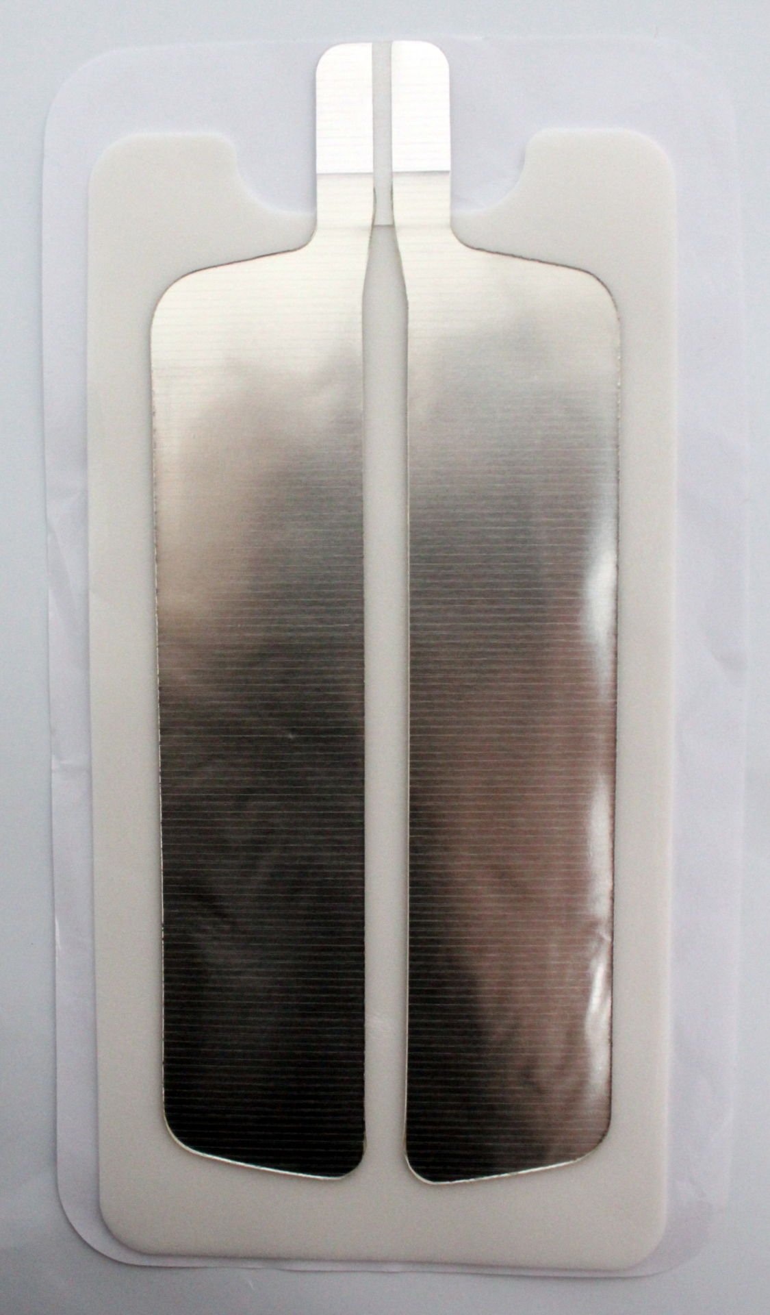 Galena Koter Plağı Çiftli Yetişkin