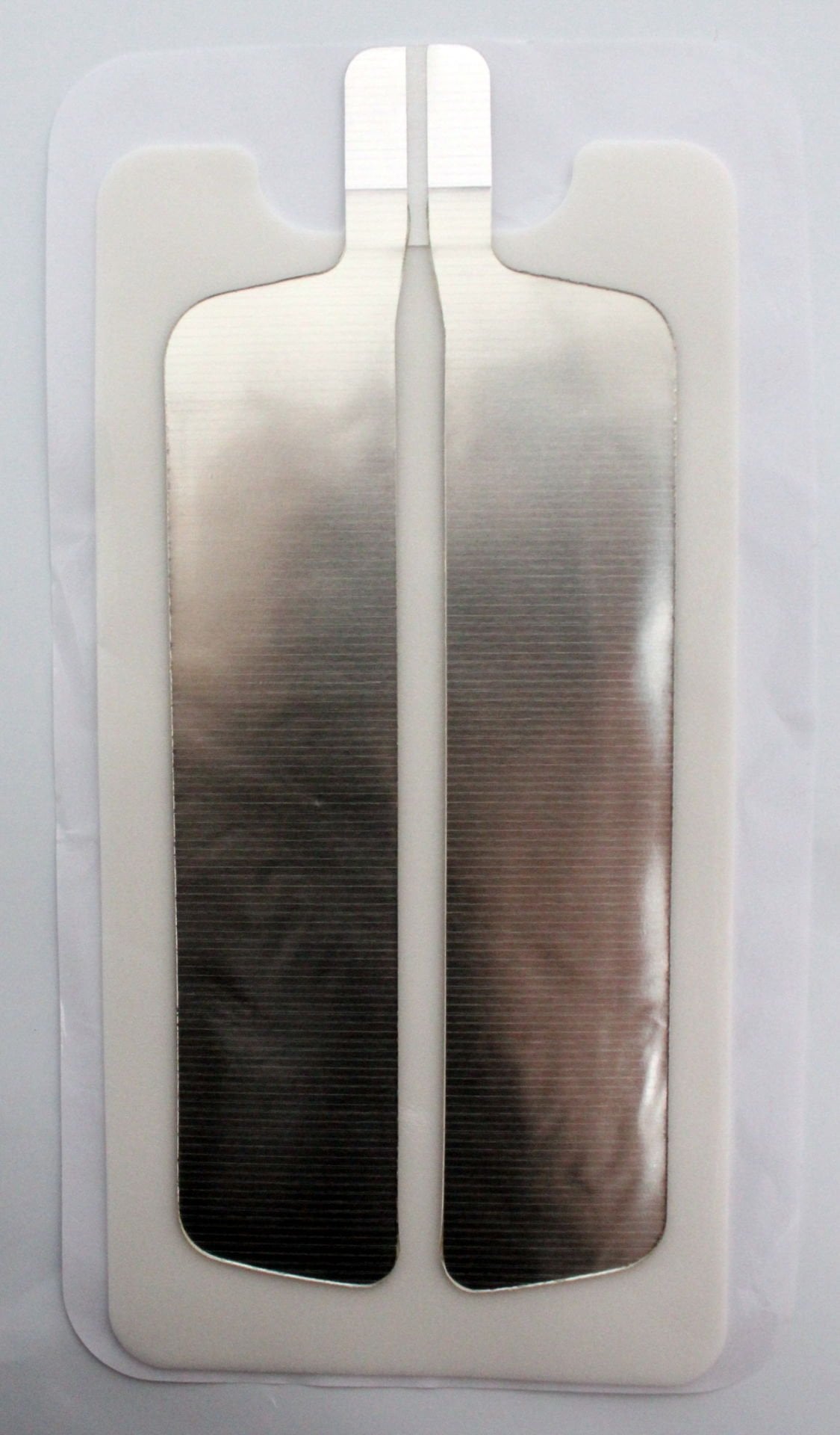 Galena Koter Plağı Çiftli Yetişkin