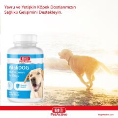 Vitalidog 0,5 150 Tablet (Köpekler İçi̇n Multivi̇tami̇n Tablet) 75 Gr