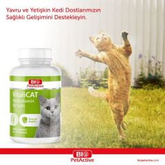 Vitalicat 0,5 150 Tablet Kedi̇ler İçi̇n Multi̇vi̇tami̇n Tablet 75 Gr