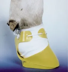 SHOOF Sığır Ayakkabısı Çift Taraflı Sarı Medium