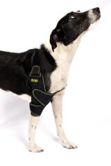 PETSUIT Köpek Dirsek Ateli Ön Bacak Sağ