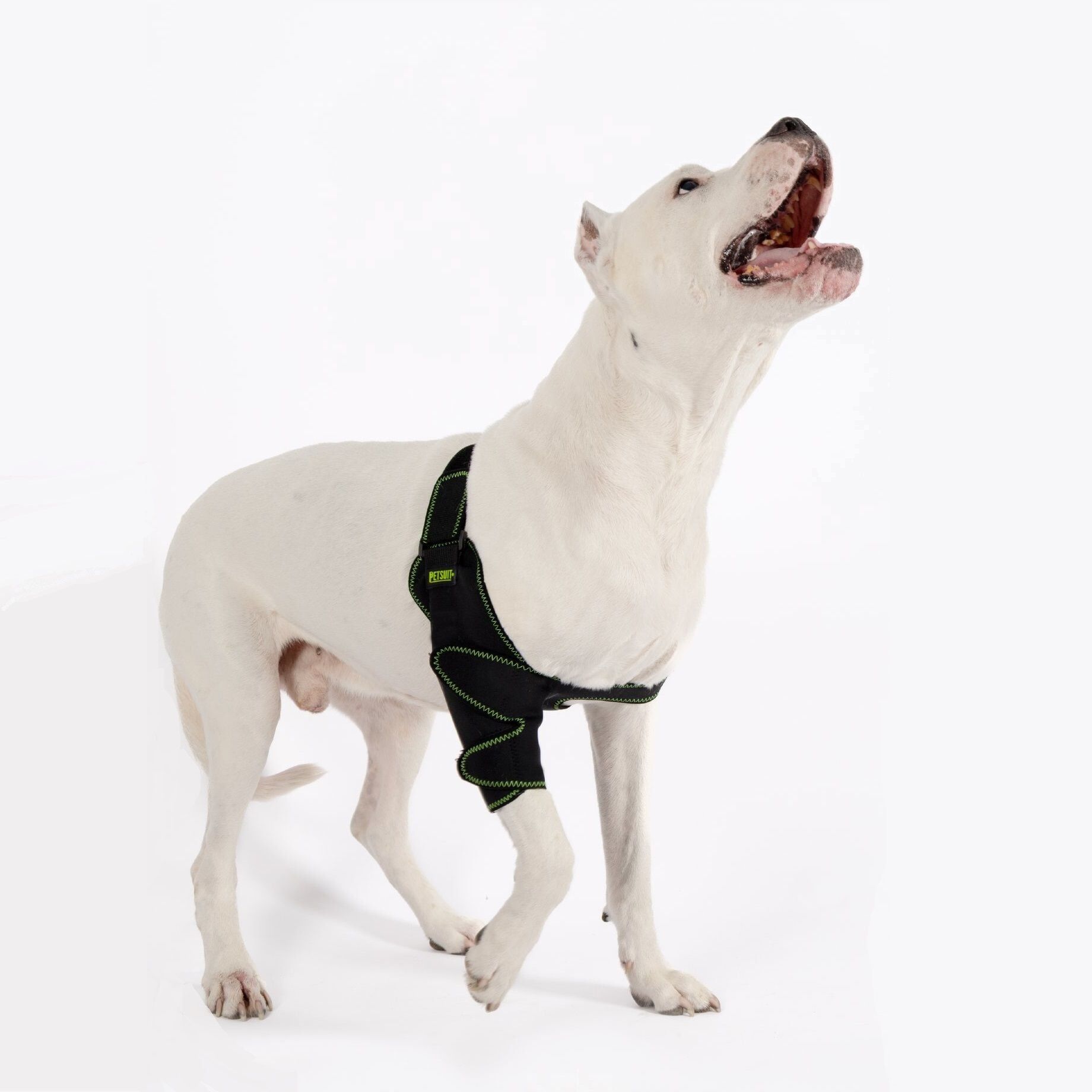 PETSUIT Köpek Dirsek Ateli Ön Bacak Sağ