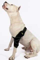 PETSUIT Köpek Dirsek Ateli Ön Bacak Sol