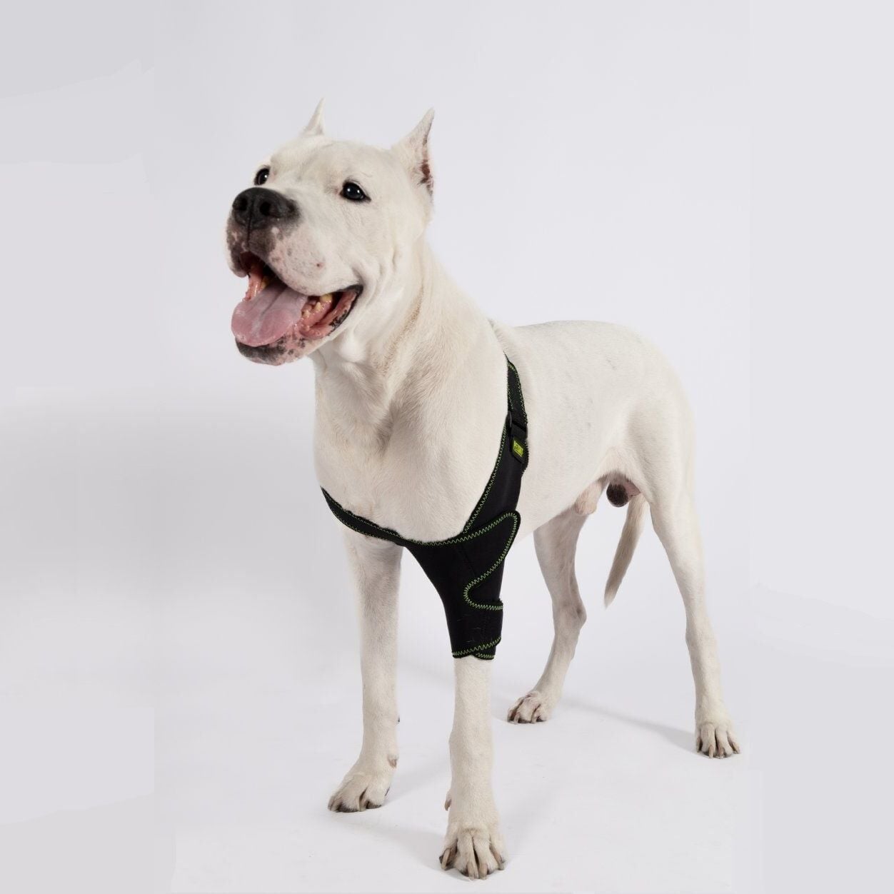 PETSUIT Köpek Dirsek Ateli Ön Bacak Sol