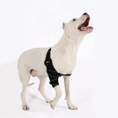 PETSUIT Köpek Dirsek Ateli Ön Bacak Sol