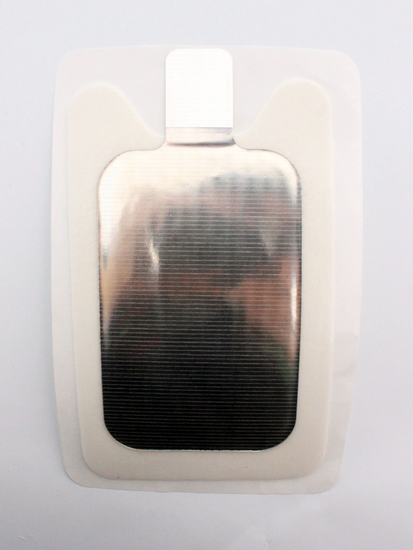 Galena Koter Plağı Tekli Yetişkin