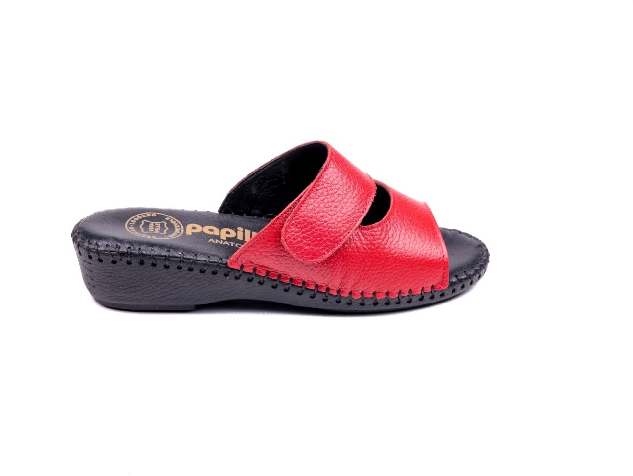Papillon Terlik 642