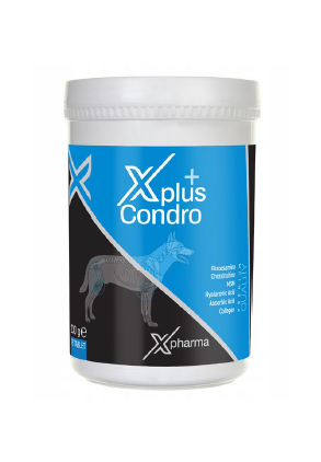 X Plus Condro